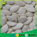 EU standard EUROFINS certified snow white pumpkin seeds